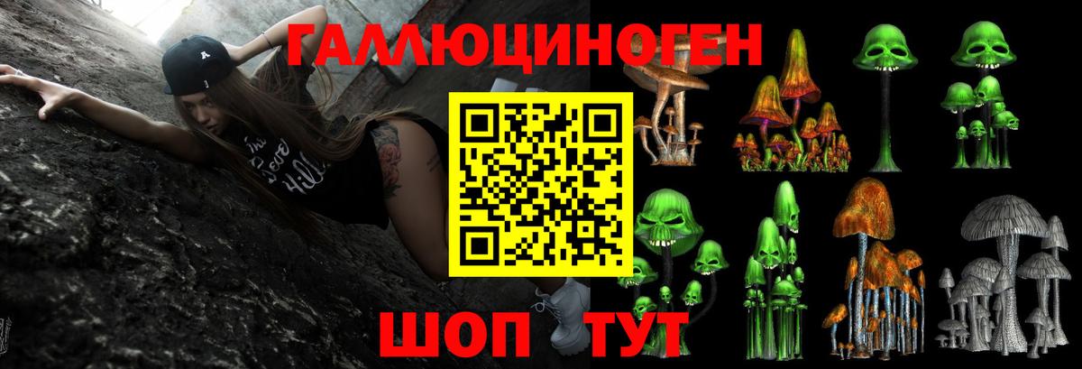 Галлюциногенные грибы ЛСД Майский